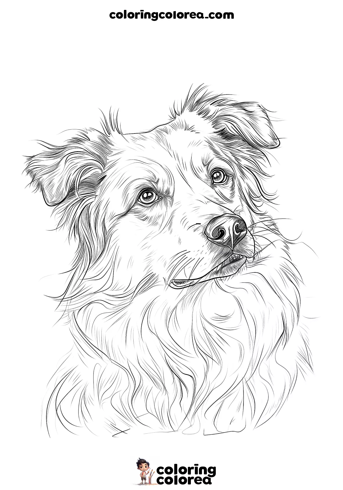 Dibujo para colorear de un perro pastor australiano