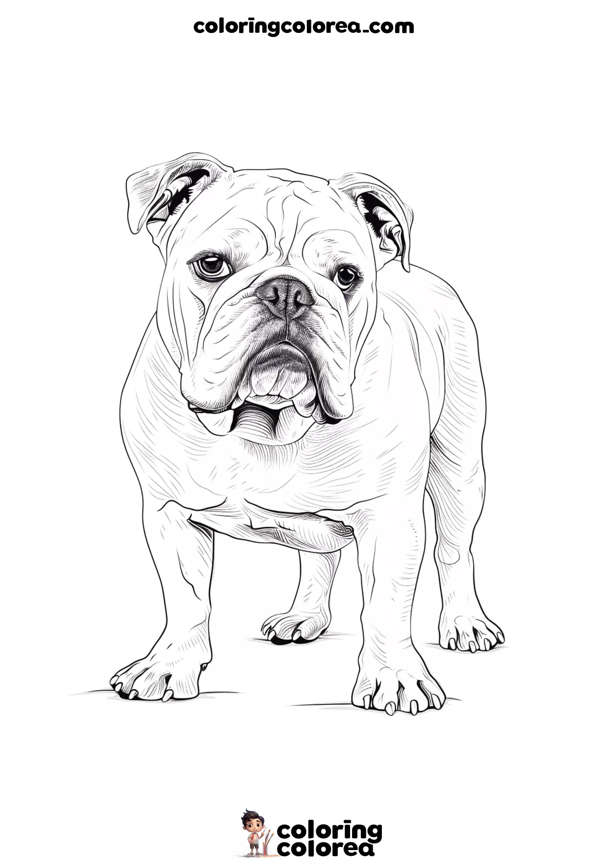 Dibujo para colorear gratis de un perro de raza Bulldog