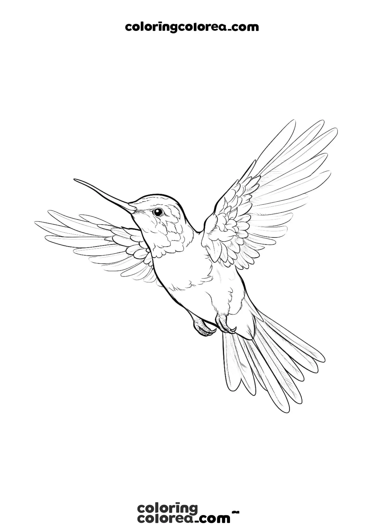 Dibujo para colorear de un pájaro colibrí