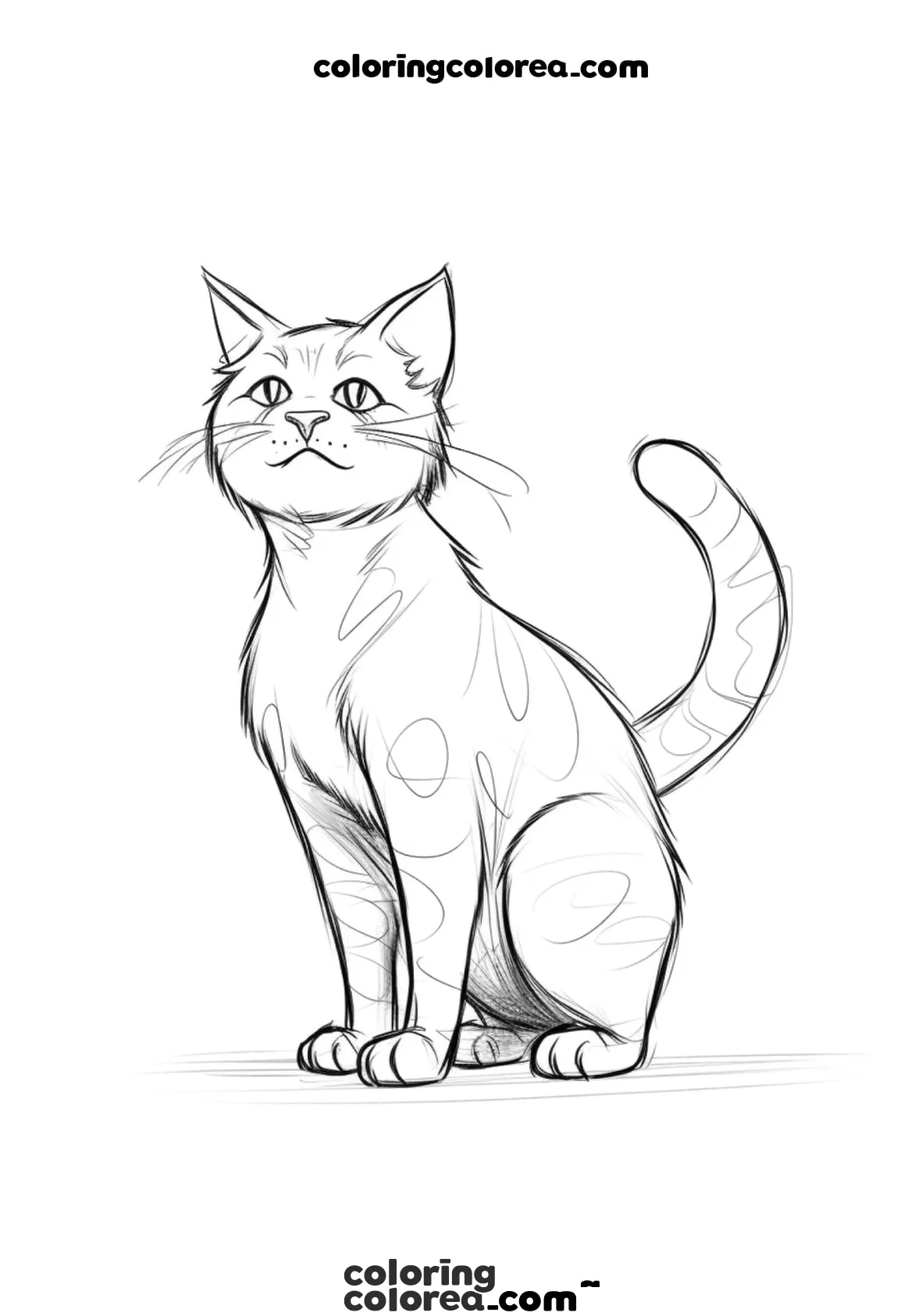 Dibujo para colorear de un gato común