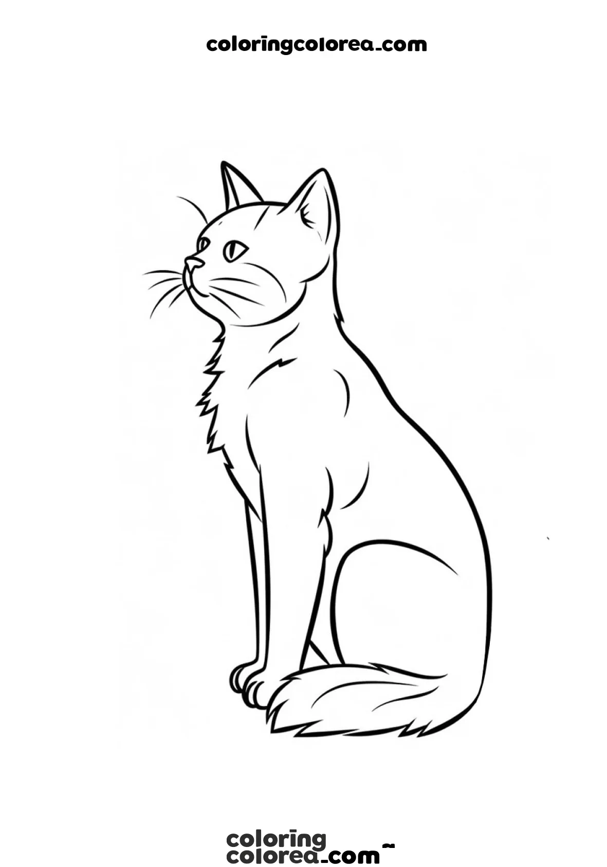 Dibujo para colorear de un gato común