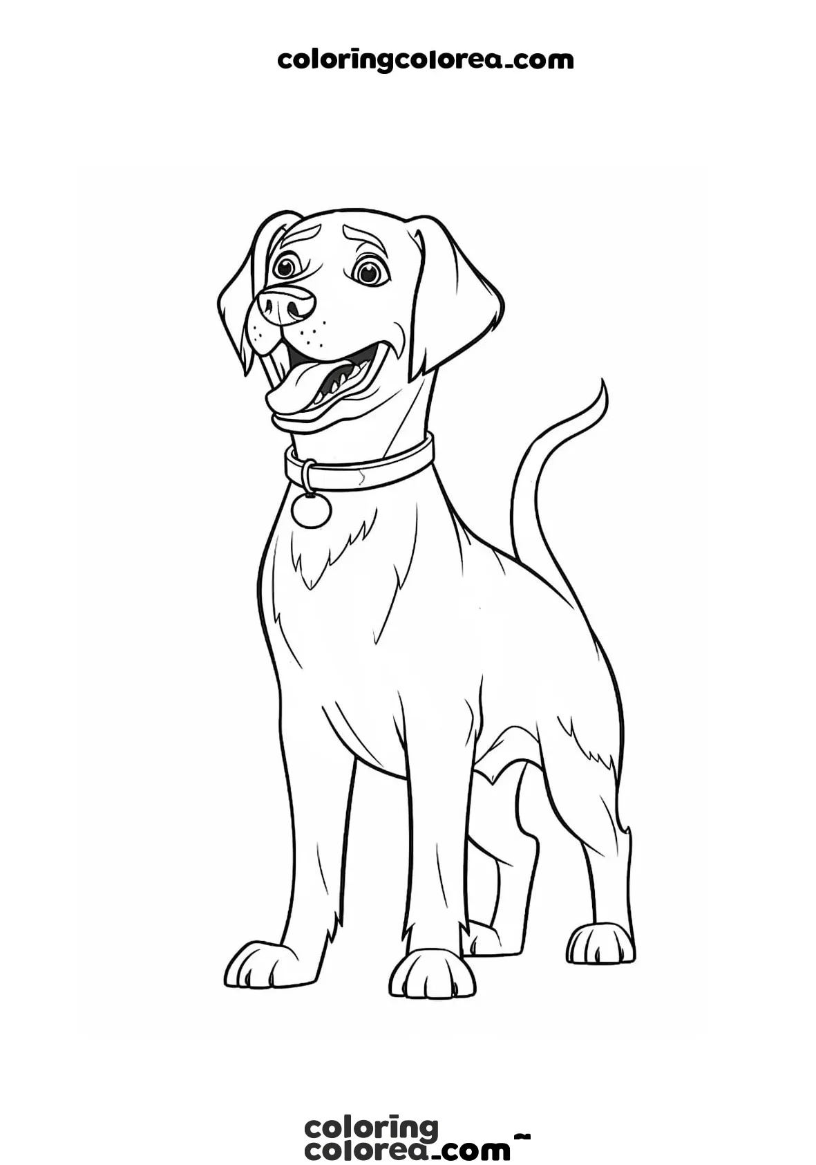 Dibujo de Perro labrador para colorear