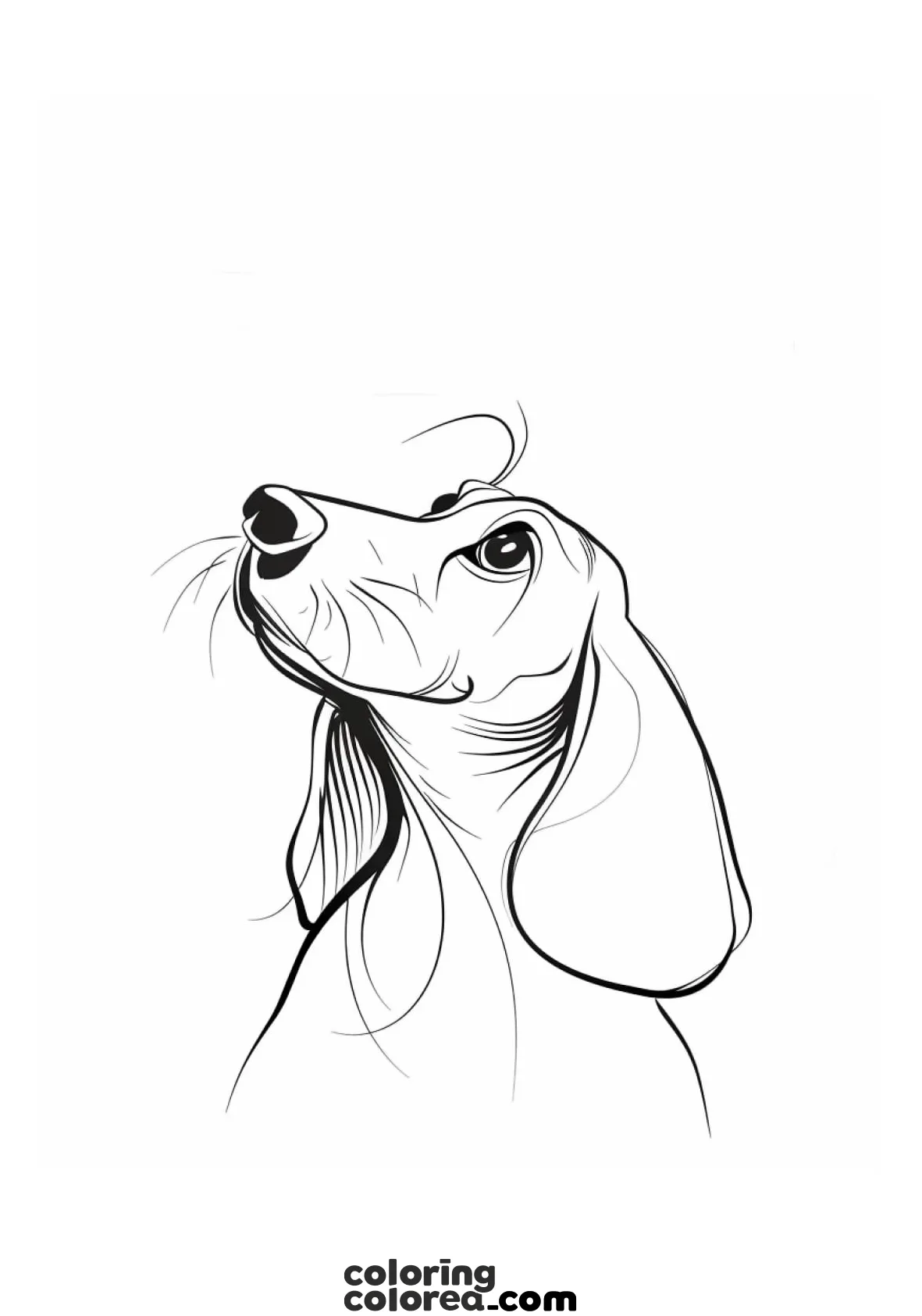 Dibujo para colorear gratis de un perro salchicha, Dachshund
