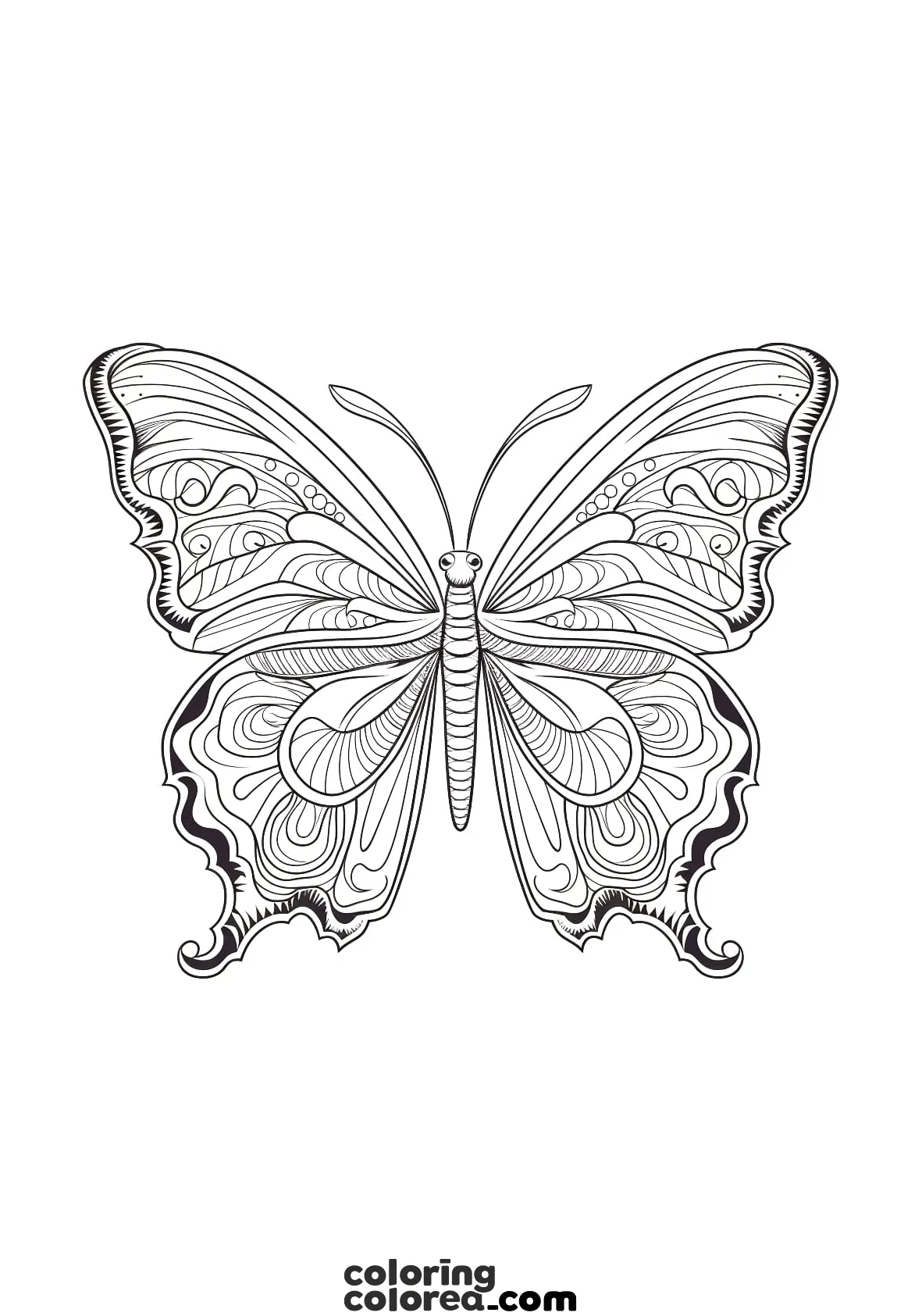 Dibujo para colorear gratis, estilo mandala animal, de una mariposa simétrica