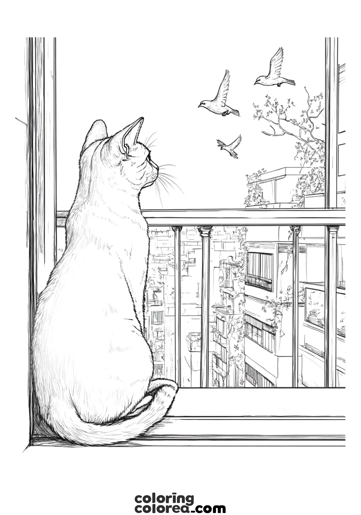 Gato mirando pájaros