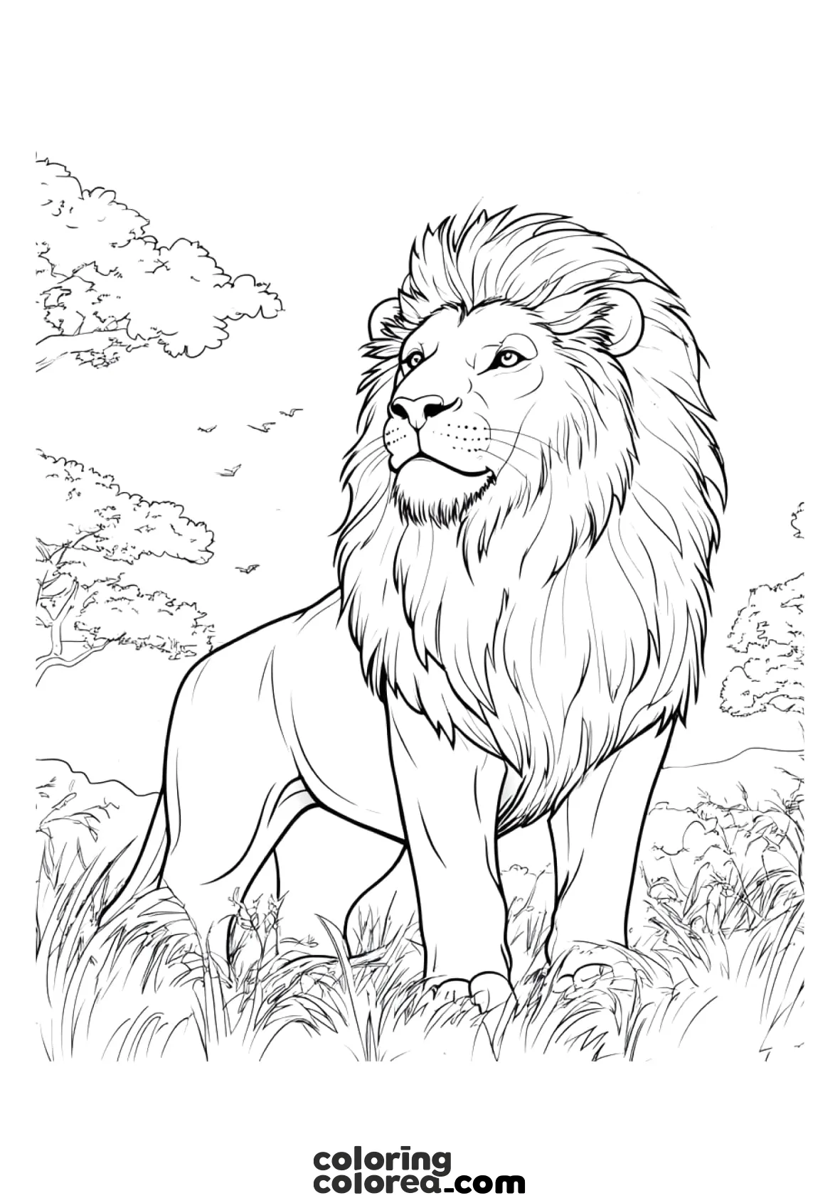 Dibujo para colorear de un león con una gran melena