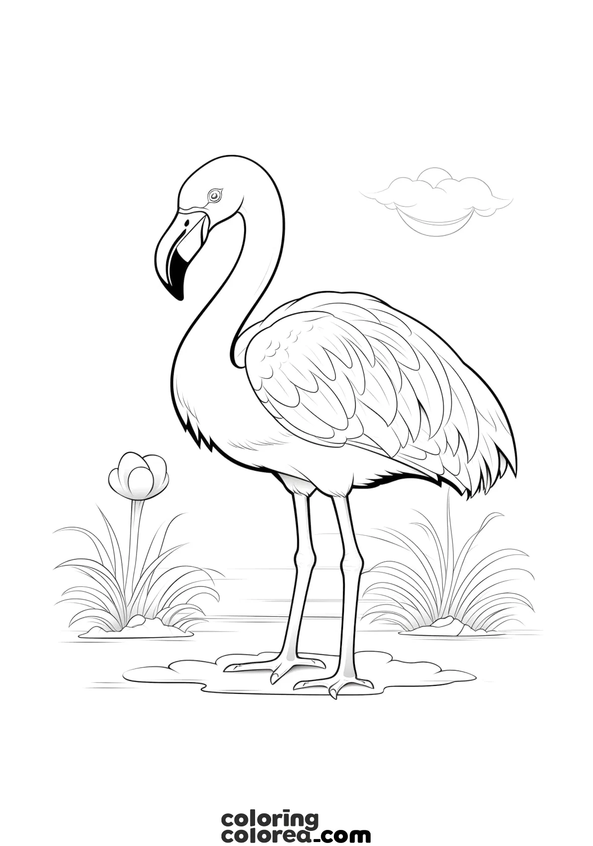 Dibujo para colorear de un precioso flamenco