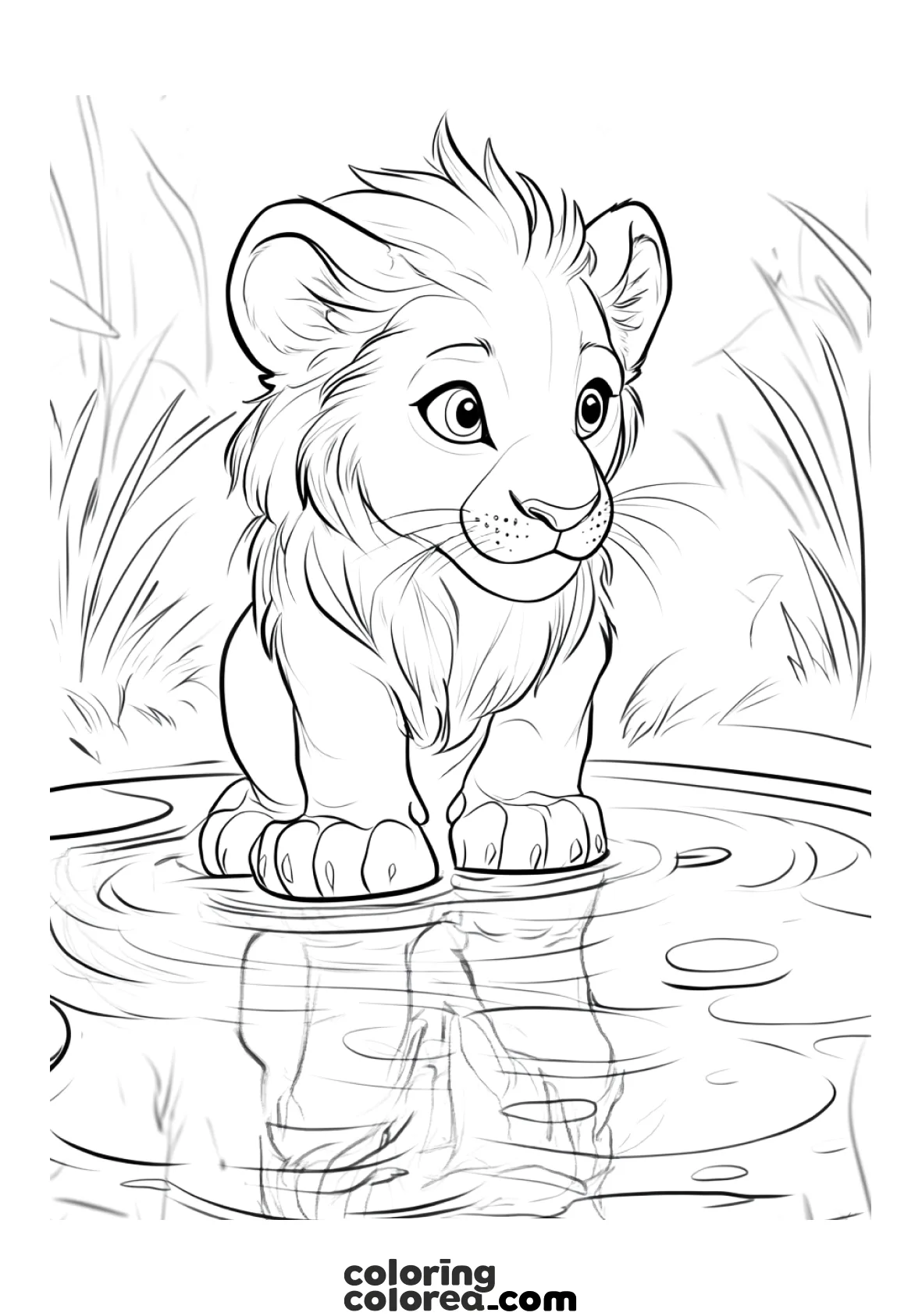 Dibujo para colorear del rey león mirando su reflejo en el agua
