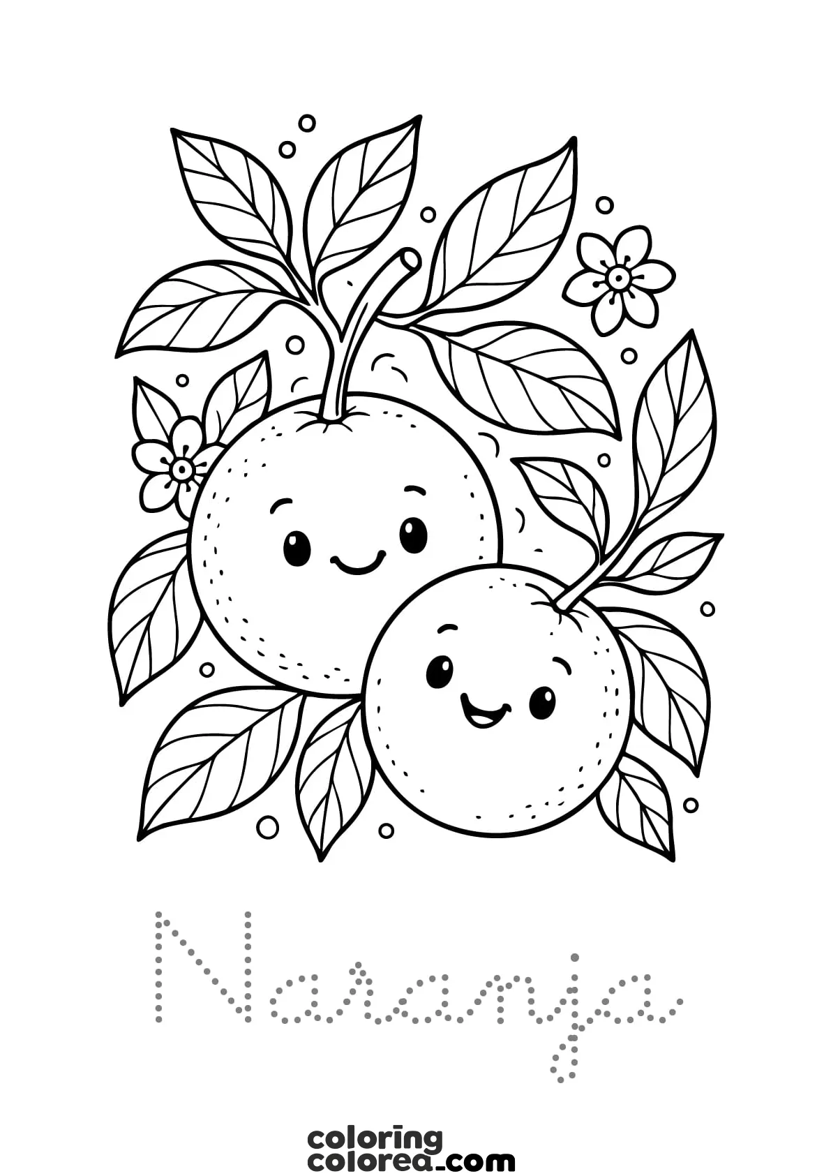 Dibujo para colorear gratis de naranjas - fruta
