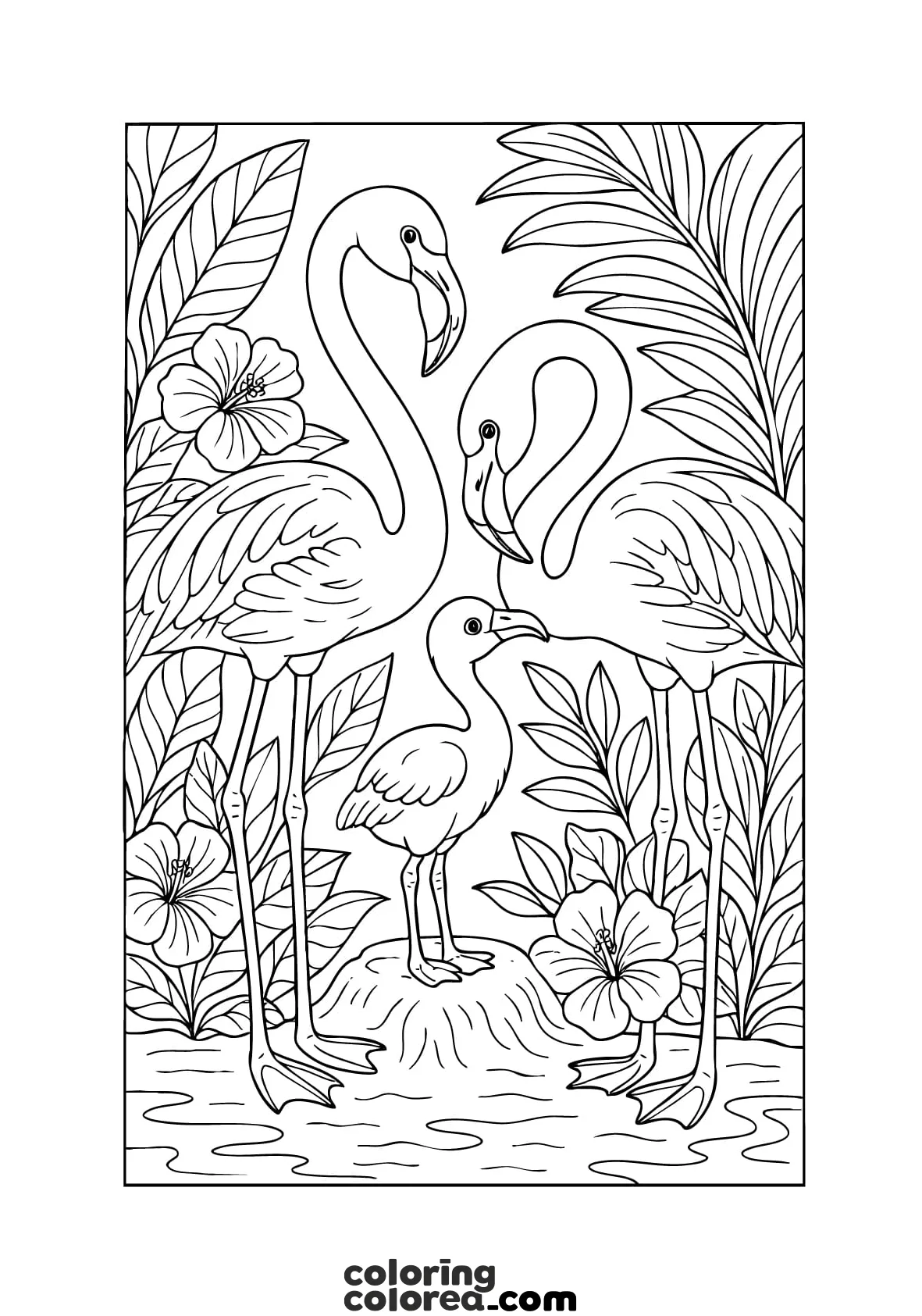 Dibujo para colorear gratis de una familia de flamencos