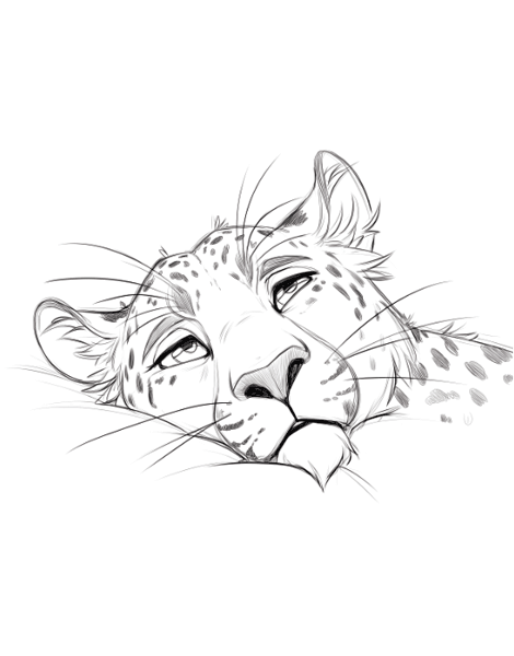 Free high quality sleeping Leopard Coloring Page